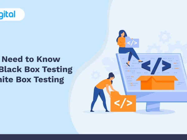 All You Need to Know About Black Box Testing and White Box Testing