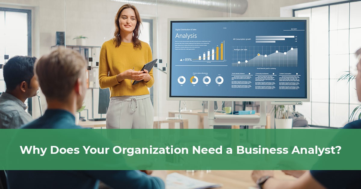 Why Does Your Organization Need a Business Analyst?