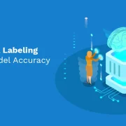 How AI Data Labeling Impacts Model Accuracy and ROI?
