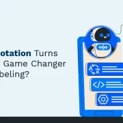 Why AI Annotation Turns Out to Be a Game Changer for Data Labeling?