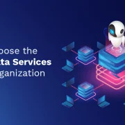 How to Choose the Right AI Data Services for Your Organization