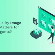Why High-Quality Image Annotation Matters for Training AI Agents?